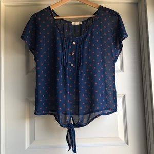 Sheer Blue Polka Dot Blouse